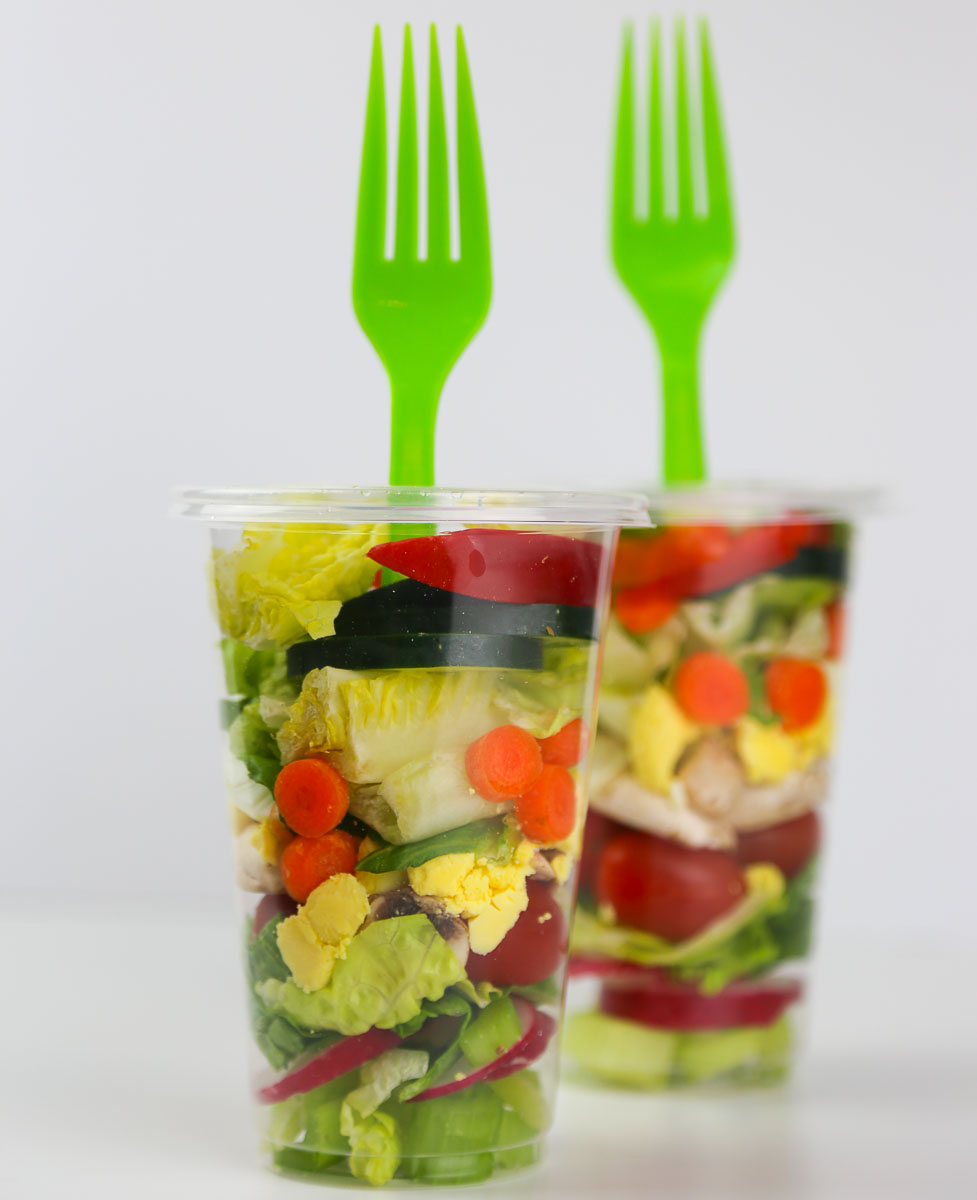 Portable Salad Cup to Go with Fork & Salad Dressing Holder- Low